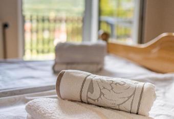 Kuca Davidovic Banja Vrujci has Balcony rooms