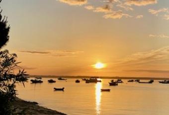 Pyla-sur-Mer Appart jardin plage    pied 4 pers. allows 18 year olds to book a room