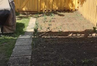 Basement with one bed room and one full bathroom and a big hall allows 18 year olds to book a room