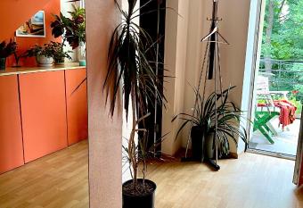 Studio apartment and FREE airport transfer has rooms with a private hot tub