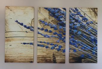 ELVAJO STUDIO has Balcony rooms