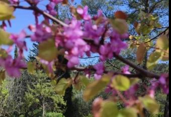 Villa avec piscine au calme has Balcony rooms