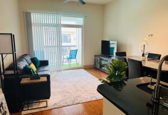2bd2ba Houston apt near NRG and Medical Ctr has Balcony rooms