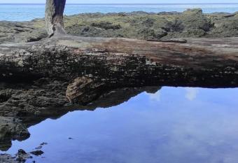 Eaj allows 18 year olds to book a room