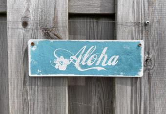 Aloha-Olmenduin has Balcony rooms