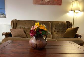 Cluj ApartHotel - VIVA CITY - has Balcony rooms