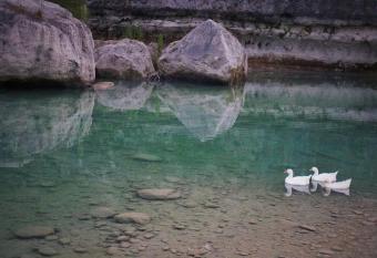 Charming Riverfront Home - Casa Topo @ SparrowBend has Balcony rooms