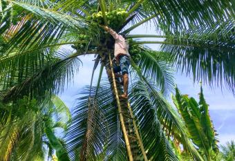 Coco Happy Farm has Balcony rooms