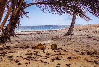 Mabouya allows 18 year olds to book a room