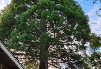 Oasis Rest from Hiking Kayaking Pool Table RV SPOT has Balcony rooms