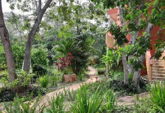 Eco-Hotel Nueva Altia has Balcony rooms