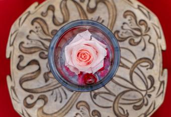 The Rosa s House has Smoking/Balcony rooms