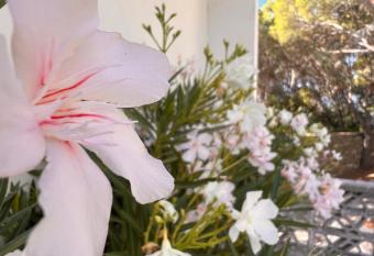 A casa di Ludo has Balcony rooms