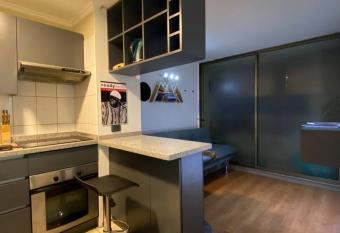 C  ntrico departamento Santiago vacaciones trabajo has rooms with a private hot tub