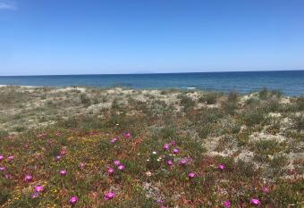 ALBA SERENA allows 18 year olds to book a room