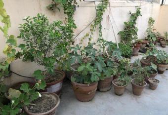 Lovely 2 bedroom apartment with a patio has Smoking/Balcony rooms