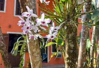 Villa dos P  ssaros Paraty Hospedagem allows 18 year olds to book a room