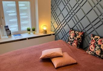 Modernes 1Zi. Appartement! Zentral! Hafen! Netflix! allows 18 year olds to book a room