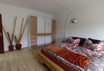 Riccis 47m2 bamboo flat allows 18 year olds to book a room
