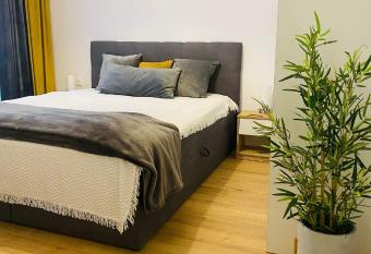 Bethlen Apartman allows 18 year olds to book a room