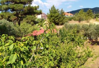 Little Hause has Balcony rooms