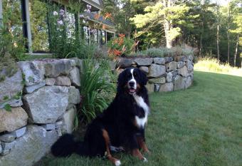 Riverhouse allows 18 year olds to book a room