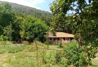 Beautiful apartment Casa o Rio in Ribeira sacra ES has Balcony rooms