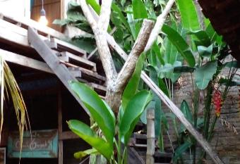 Omah Guyub allows 18 year olds to book a room