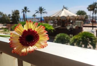 Apartamento Para  so en 1   L  nea de Playa allows 18 year olds to book a room