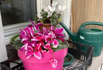 Zentrum Bozen-Rosengartenblick has Balcony rooms