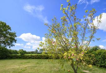 APPLEDOWN - Secluded Rural Retreat in Kingsdown, 10 mins to BEACH has Balcony rooms