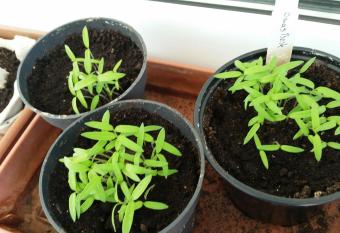 80M   Complete apartment for vacation or work has Balcony rooms