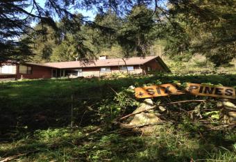 Six Pines allows 18 year olds to book a room