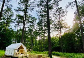 Tentrr State Park Site - Louisiana Bogue Chitto State Park - Gorge Trail O - Single Camp allows 18 year olds to book a room