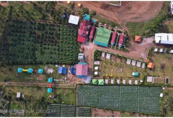 Panorama Ecopark has Balcony rooms