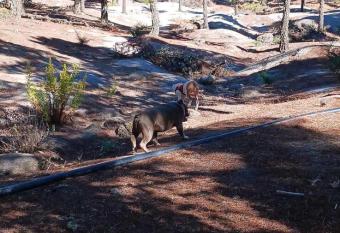 Casa Azul Mountain Retreat allows 18 year olds to book a room