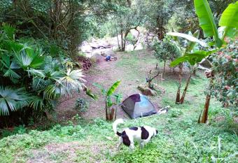 Bosque y r  o - Zona de camping en San francisco has Balcony rooms
