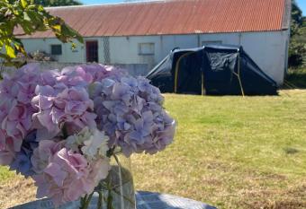 Peaceful Tent Camping near Ballybunion & Listowel allows 18 year olds to book a room