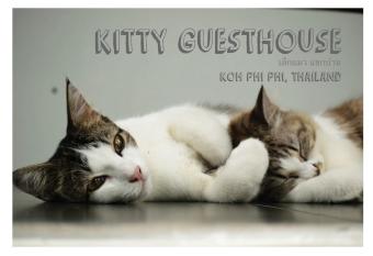 Kitty Guesthouse has Balcony rooms