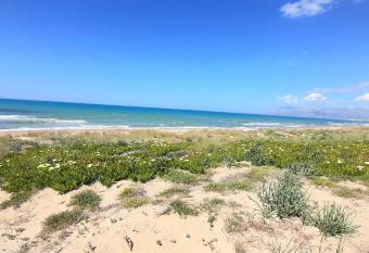 Stella del golfo di Castellammare sulla spiaggia has Balcony rooms