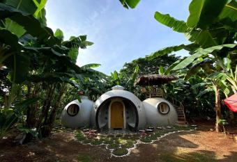 Adorable Dome House allows 18 year olds to book a room