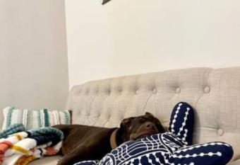 4 bdr Cottage, Edinboro Lake Views, Dogs Welcome has Balcony rooms