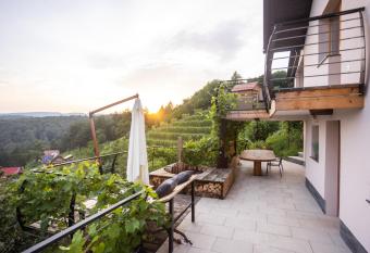 Vineyard cottage Sonce has rooms with a private hot tub