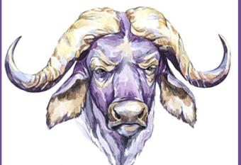 Nyathi Bed & Breakfast allows 18 year olds to book a room