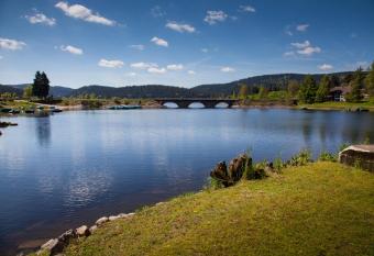 Hotel Pension am See has Balcony rooms