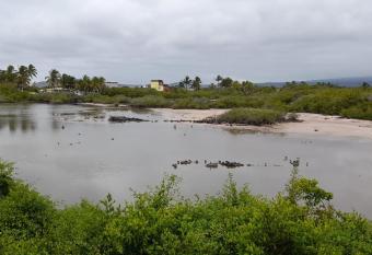 My House has Balcony rooms