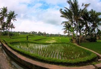 Vinarya Villa allows 18 year olds to book a room