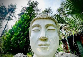 Olympos Five Rooms Apart no 1 allows 18 year olds to book a room