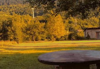 Disney allows 18 year olds to book a room