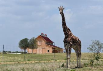 Blue Hills Ranch allows 18 year olds to book a room